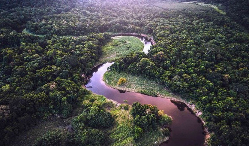 Zróżnicowany zespół jest niezbędny do poprawy zdrowia i dobrego samopoczucia społeczności.
